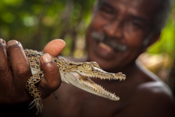 This fisherman caught a small crocodile in the mangroves of Aluthgama.