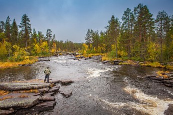 Nature seems wild and untouched in Muddus. But for many thousands of years the indigenous Sami people lived here as nomads and reindeer herders.