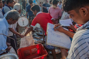 Tangalle Here, the catch gets weighted, sold and entered in the books.