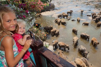 Pinnawala, Elefantenwaisenhaus: Über 60 große und kleine Dickhäuter baden jeden Tag im Fluss, ein einmaliges Spektakel für Amelie und Smilla.