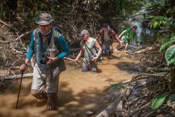Subayang River: Am Ausgangspunkt unsere Dschungelexkursion angekommen, geht es watend durch Bäche und Gräben in den Dschungel, manchmal in Bauchnabeltiefe.