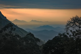 Ella in the early morning.