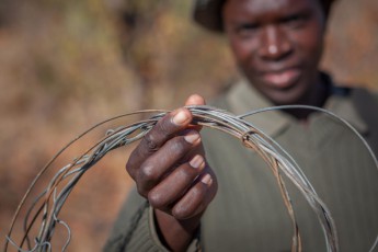 A member of an anti-poacher unit shows us one of many illegal loop traps they have collected today.