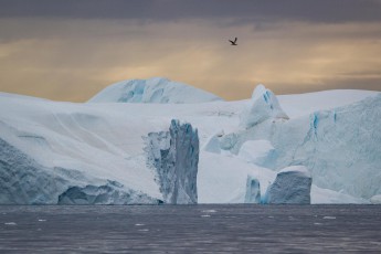 Eisberg im Fjord von Illulisat