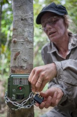 Katja fastens a camera trap and secures it with a lock against pilferers.