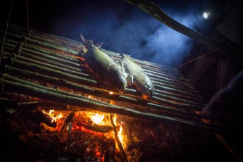 Abendessen nach Amazonas-Art serviert: sehr leckere Tambaqui.

