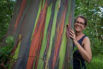 Annette ist ganz verzückt von den vielen Farben, die der Eukalpytusbaum bietet.
