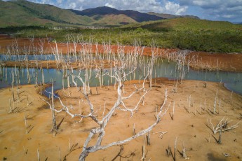 Der Lac de Yaté wurde 1959 als 4000 Hektar großer Stausee angelegt. Dem Projekt fielen Abertausende Bäume zum Opfer und die entstandenen versunkenen Wälder sind eine bizarre wie fragwürdige Schönheit.
