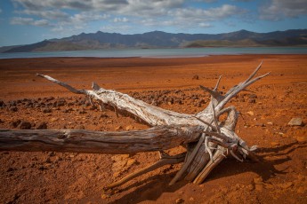 Heavy Metal Land: Die rostrote Landschaft rund um den Lac de Yaté enthält große Mengen an Eisen, Mangan, Chromerz, Nickel und Kobalt. Auf diesen toxischen Nährböden wachsen nur wenige hartgesottene Pflanzen.

