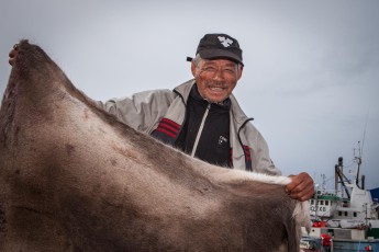 Sisimiut: Hunter Otto Grönnold proudly shows me his caribou skins.