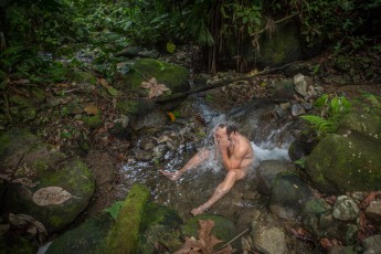 In the bathroom of the rainforest.