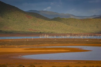 The Lac de Yaté was created in 1959 as a 4000 hectare reservoir. Thousands of trees fell victim to the project and the resulting sunken forests are a bizarre and questionable beauty.