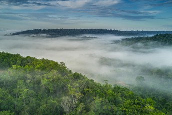 Early in the morning above the endless rainforest near Presidente Figueiredo. The loud calls of the spotted iguanas and howling monkeys echo over the treetops.