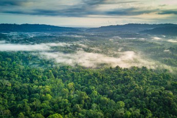 Am frühen Morgen über Selva Bananito, nur etwa 10 Kilometer landeinwärts von der Stelle, an der Christoph Columbus 1502 die 'reiche Küste' entdeckte.