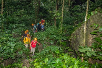 Something very special in the Son Doong cave are the two jungles on the bottoms of the huge shafts, the so-called dolines. A fertilizer cocktail made of high humidity, bat dung and daylight has sprouted its own ecosystem with dense bushes and tall trees.