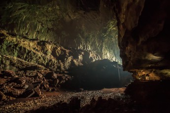 In the middle of one of the largest caves in the world, Deer Cave in Mulu. About two million bats live here and it smells correspondingly strong. Annette and the children are standing on the right in the flashed clearing.