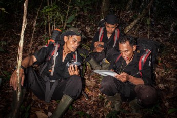 We discover tapir tracks, bear scratches and many illegally logged trees. Everything is meticulously documented on data sheets. "What are the odds to spot tiger?" I want to know. The rangers cheerfully shake their heads. Atan replies: “The TPU was founded in 2004. In thirteen years altogether only four tigers were spotted."