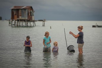 Malaysia bietet sogenannte Homestay-Programme an. Dabei kann man bei Malayen wohnen und alles kennenlernen und mitmachen, wonach einem der Sinn steht. So gastieren wir in Kudat für ein paar Tage bei Jayanthas Familie. Jayantha zieht ein Langnetz durch diese Bucht - und eine Weile später können wir uns unser Abendessen aus den Maschen picken.