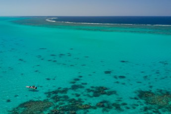 
Snorkelling trip in the largest lagoon in the world. You can see our boat on the left side of the picture. For hours there is no other boat in the lagoon. Underwater I watch parrotfish, groupers, stingrays and reef sharks.