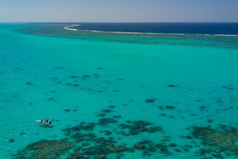 Schnorchelausflug in der größten Lagune der Welt. Unser Boot ist link im Bild zu sehen. Über Stunden ist kein anderes Boot in der Lagune zu sichten. Unterwasser beobachte ich Papageienfische, Zackenbarsche, Stachelrochen und Riffhaie.
