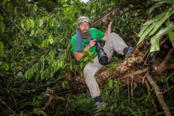 A trip through the rainforest is sometimes a bit like an obstacle run.