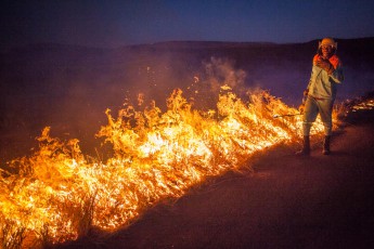 South Africa: The fire brigade burns down the knee-length grasses in the immediate vicinity of the road in a controlled manner so that they do not catch fire through carelessly discarded cigarette butts.