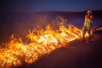 Südafrika: Die Feuerwehr brennt kontrolliert die knielangen Gräser in unmittelbarer Nähe der Straße ab, damit diese nicht durch achtlos weggeworfene Zigarettenstummel Feuer fangen.