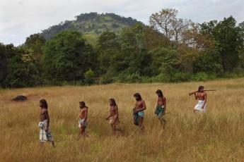 The hunt for game is protected by a man with a gun for the protection against elephants and bears.