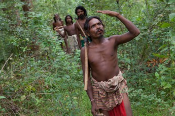 In search of honey bees, which should tell the Vedda people the way to the nest.