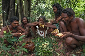 The yield of the honey hunt is divided amongst the hunting companions and right away eaten with pleasure.