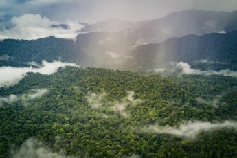 Indonesia, Sumatra: Ich nutze eine kurze Regenpause, um meine Drohne zu starten. Vorsichtig lotse ich sie an den mächtigen Baumgipfeln vorbei. Dann endlose Wälder, betupft mit Wolken, durchzogen von Regenvorhängen. Unverändert seit Jahrtausenden.
