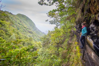 One of the few places that allow an unobstructed view of the enchanting laurel forest.