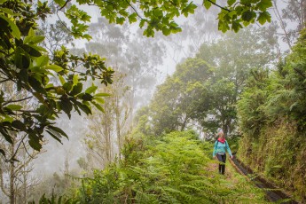 A typical levada hike: foggy, cloudy, little visited