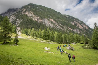 Across meadows, through forests, over streams and rocky terrain. The easy 2 1/2-hour hike is very varied.