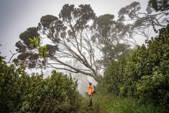 Cloud-covered, deserted, nature-steeped - that's how I experience the Rwenzori. Guide Stephen Kule comes from a village at the foot of the Rwenzori, he infects me with his obsession for mountains - and especially birds.