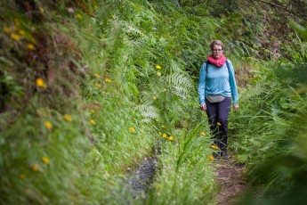 A typical levada hike: dense vegetation, narrow path, hardly visited.