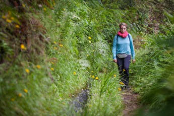 Eine typische Levada-Wanderung: Dichter Bewuchs, schmaler Weg, kaum besucht.