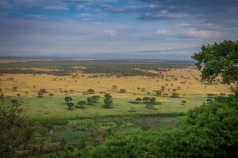 I would have liked to stay here longer: The view from Katara Lodge over Queen Elizabeth National Park - the Rwenzori mountain range on the right is about 30 kilometres away.