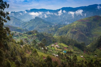 Man könnte es die 'Schweiz Ugandas' nennen: Eine Teeanbaugebiet in 1.800 Metern Höhe, unweit des Bwindi Impenetrable Forests.

