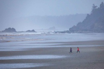 Rocky beaches, steep cliffs, rugged beauty: there are many stretches of the Olympic National Park's 117 km coastline that are great for hiking.