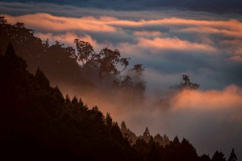 View of the sea of clouds from Alishan.