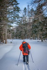 On snowshoes through untouched fresh snow: Dameon leads us through the forest near Lake Akans.