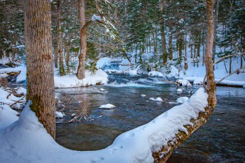 During a hike on snowshoes, without which we would have sunk about a metre into the snow, we discover this wonderful place, which invites us to linger and marvel at the wonderfully peaceful nature.