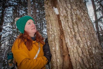 Keryn marvels at the frost crack on a tree. These can occur when the temperature suddenly drops to around -25° Celsius.