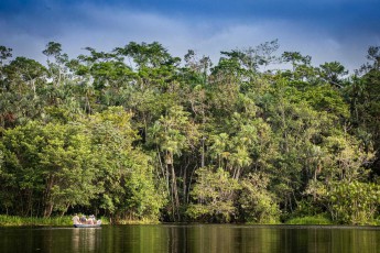 Twice a day, guests at Sacha Lodge have the opportunity to experience fascinating nature up close.