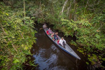 On the narrow waterways not far from Sacha Lodge you can observe birds, monkeys, amphibians and much more.