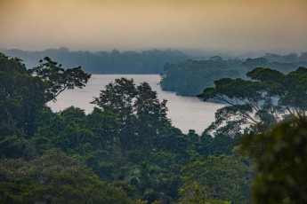 View of the Napo River, not far from Sacha Lodge.