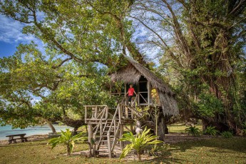One of the Serenity tree houses in Port Olry, Santu Island.