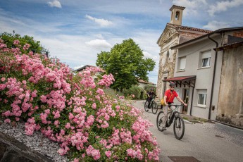 Lushly blooming rose bushes, little traffic on the streets, magnificent views – many villages in the Brda region are wonderful destinations for cyclists.