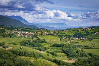 Like a painting, the cultural landscape of Brda stretches between forested hills - here Slovenian winemaking tradition and Mediterranean lifestyle merge.